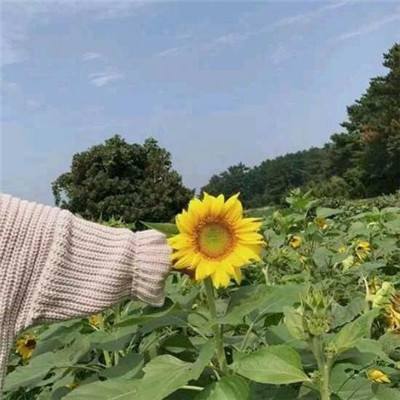 vr咖啡厅店员中文版下载
